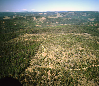 Shaw Mountain timber harvest of the 1990s